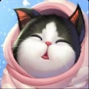 Match de Chatons